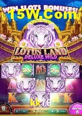 Casino Ao Vivo kk76